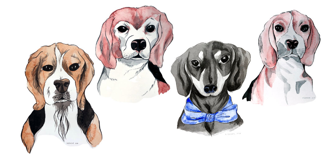 Compilation of 4 ink and watercolor paintings of 3 beagles & a dachshund by Katie Leavens