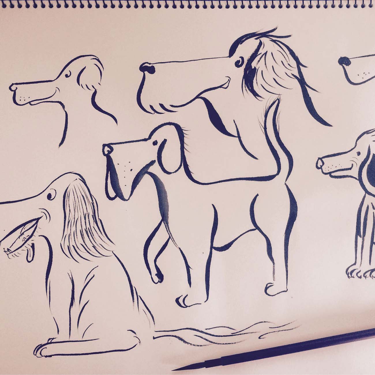 Ink paintings of dogs