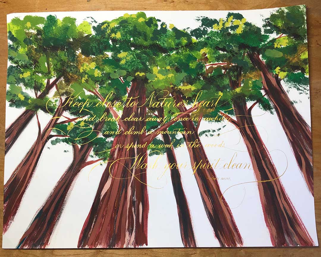 Calligraphic John Muir quote artistically intwined with redwood grove illustration by Katie Leavens